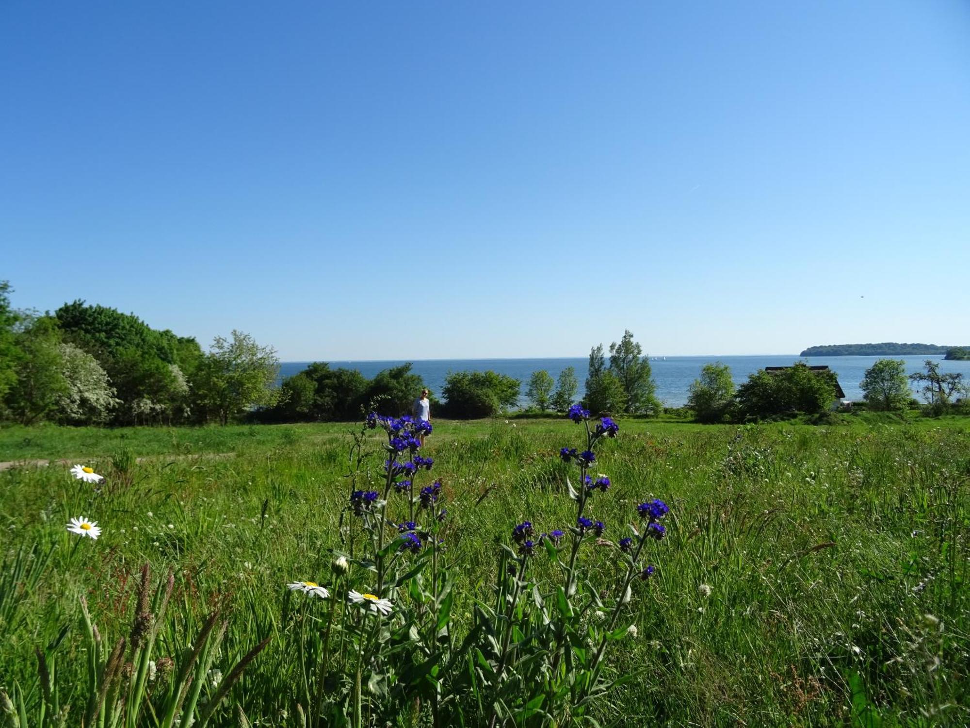 Appartement Werft & Meer Lauterbach Kültér fotó
