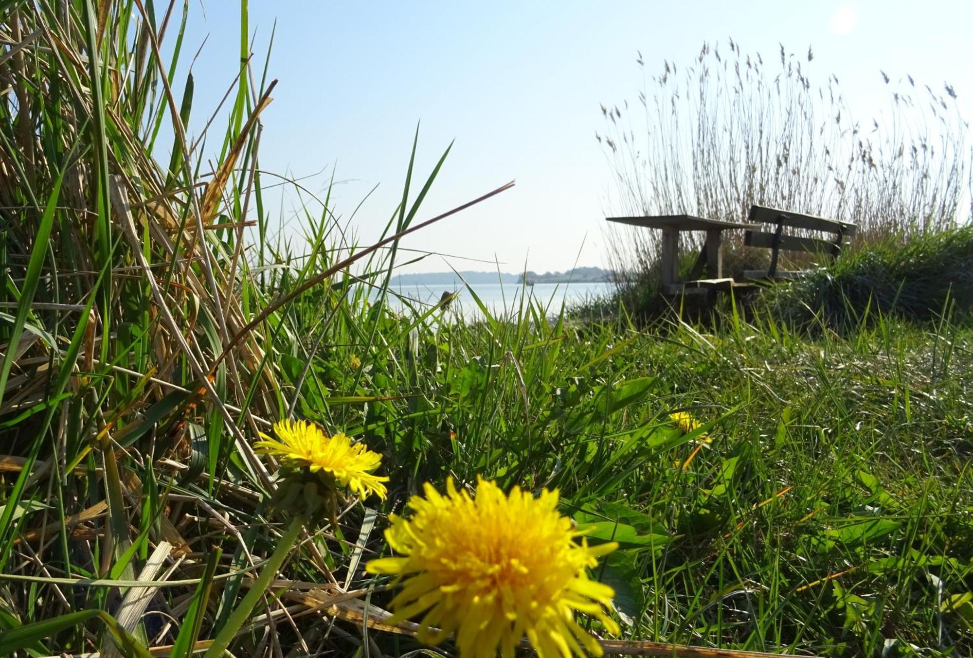Appartement Werft & Meer Lauterbach Kültér fotó